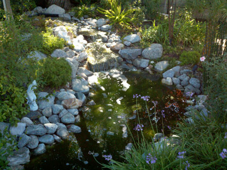 Pond Before